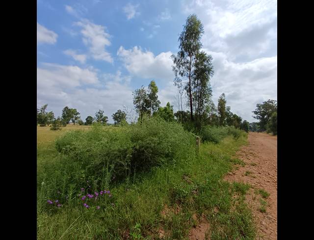 87,023M² VACANT LAND FOR SALE IN OPHIR AH